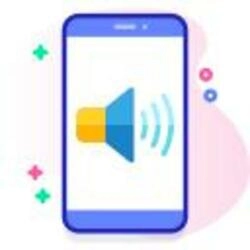 Nokia C2-03 Luidspreker Reparatie